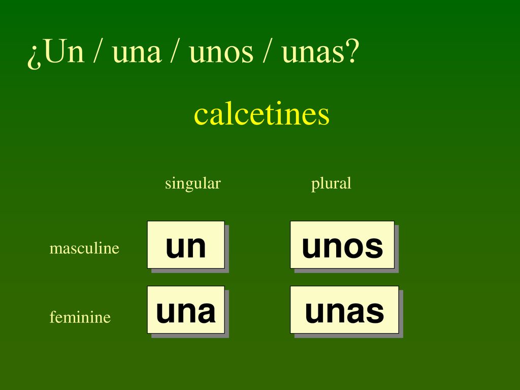 ¿Un / una / unos / unas calcetines un unos una unas singular plural