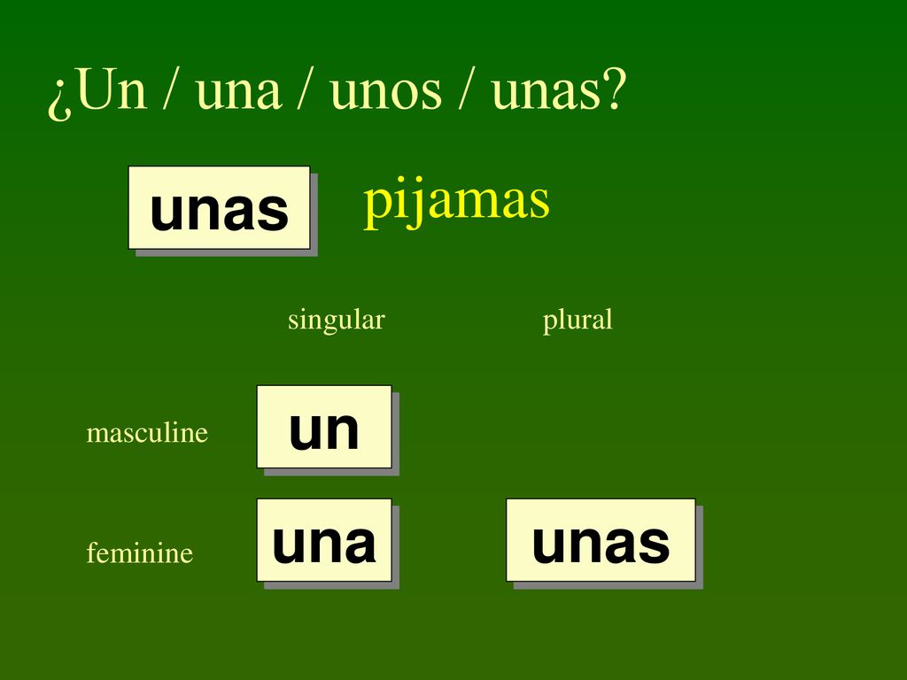 ¿Un / una / unos / unas pijamas unas un una unas singular plural
