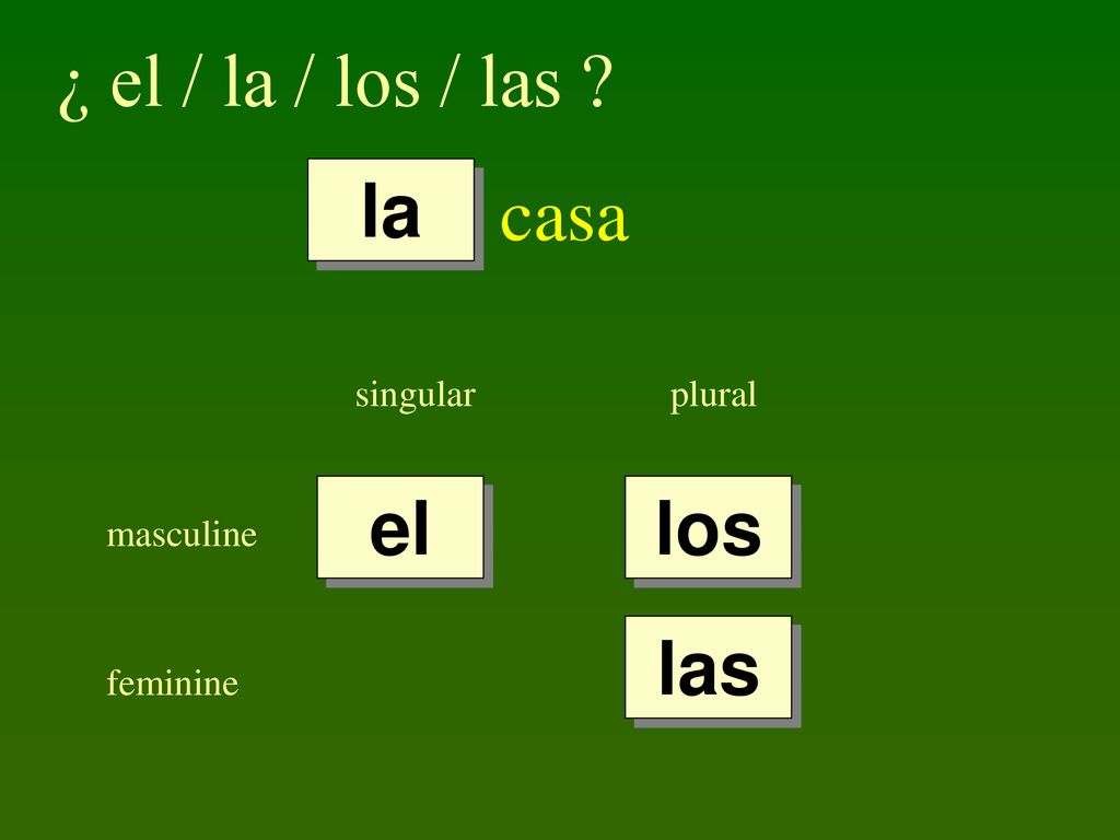 ¿ el / la / los / las casa la el los las singular plural masculine