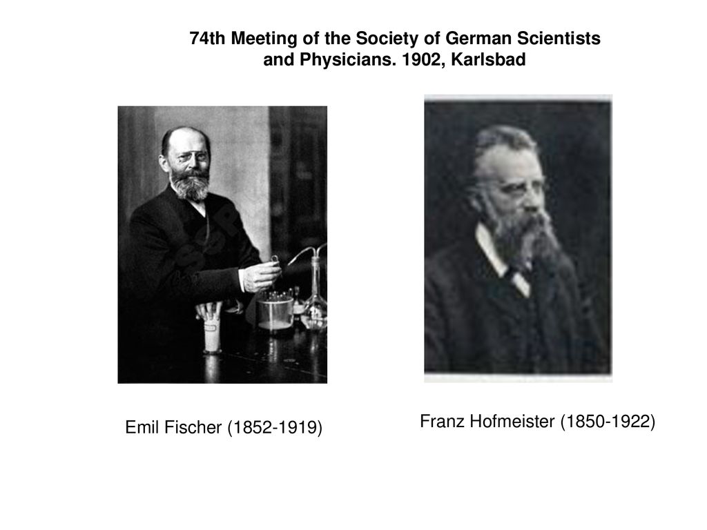 74th Meeting of the Society of German Scientists and Physicians
