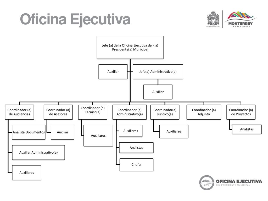 Oficina Ejecutiva Jefe (a) de la Oficina Ejecutiva del (la) Presidente(a) Municipal. Coordinador (a) de Audiencias.