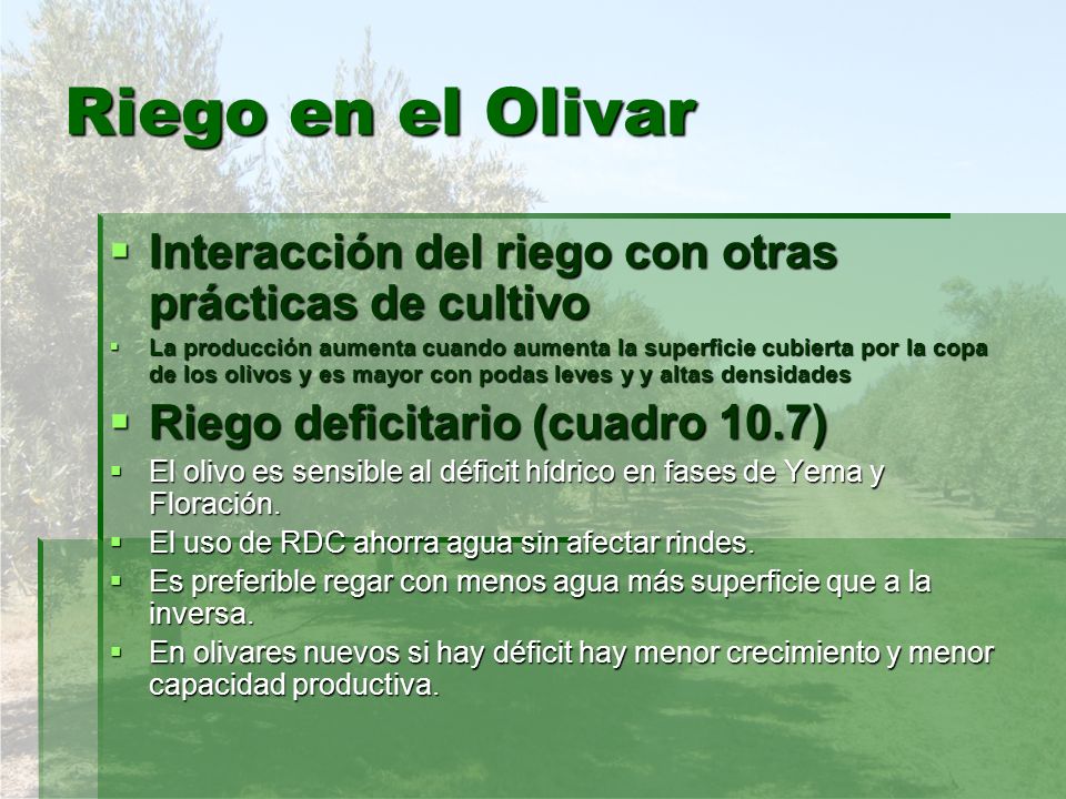 Riego en el Olivar Interacción del riego con otras prácticas de cultivo.