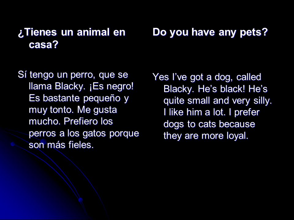 ¿Tienes un animal en casa Do you have any pets