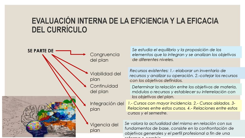 EVALUACIÓN INTERNA DE LA EFICIENCIA Y LA EFICACIA DEL CURRÍCULO