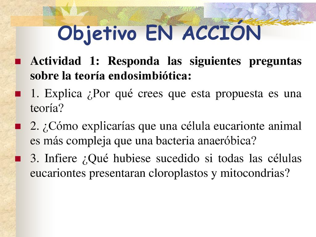 Objetivo EN ACCIÓN Actividad 1: Responda las siguientes preguntas sobre la teoría endosimbiótica: