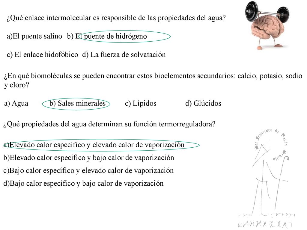 ¿Qué enlace intermolecular es responsible de las propiedades del agua