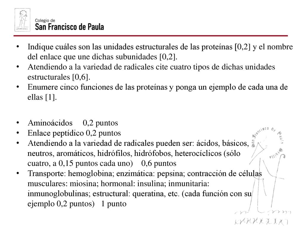Indique cuáles son las unidades estructurales de las proteínas [0,2] y el nombre del enlace que une dichas subunidades [0,2].