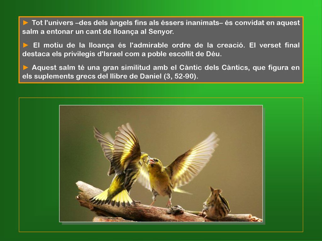 ► Tot l univers –des dels àngels fins als éssers inanimats– és convidat en aquest salm a entonar un cant de lloança al Senyor.
