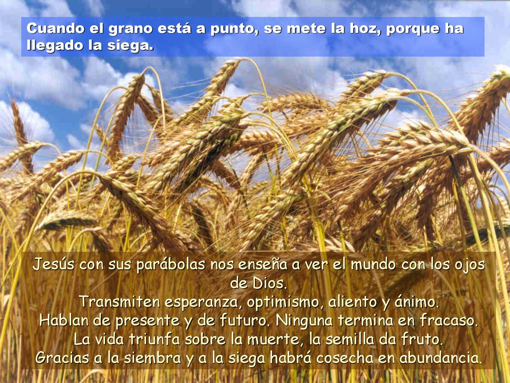 La vida triunfa sobre la muerte, la semilla da fruto.