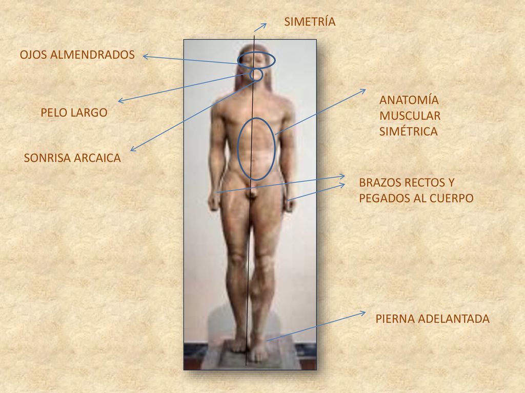 SIMETRÍA OJOS ALMENDRADOS. ANATOMÍA MUSCULAR SIMÉTRICA. PELO LARGO. SONRISA ARCAICA. BRAZOS RECTOS Y PEGADOS AL CUERPO.