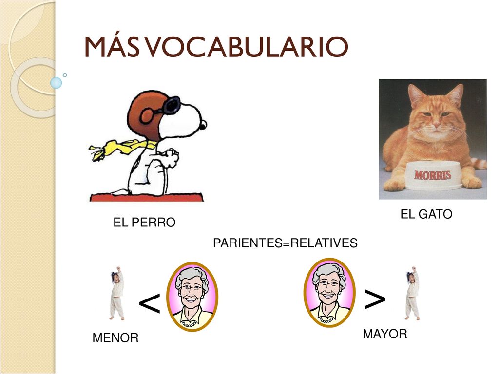> < MÁS VOCABULARIO EL GATO EL PERRO PARIENTES=RELATIVES MAYOR