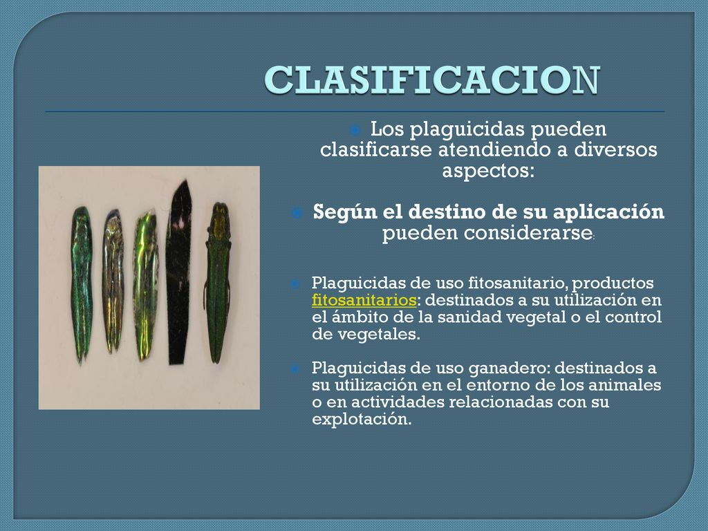 CLASIFICACION Los plaguicidas pueden clasificarse atendiendo a diversos aspectos: Según el destino de su aplicación pueden considerarse: