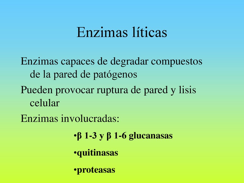 Enzimas líticas Enzimas capaces de degradar compuestos de la pared de patógenos. Pueden provocar ruptura de pared y lisis celular.