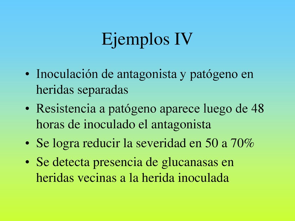 Ejemplos IV Inoculación de antagonista y patógeno en heridas separadas