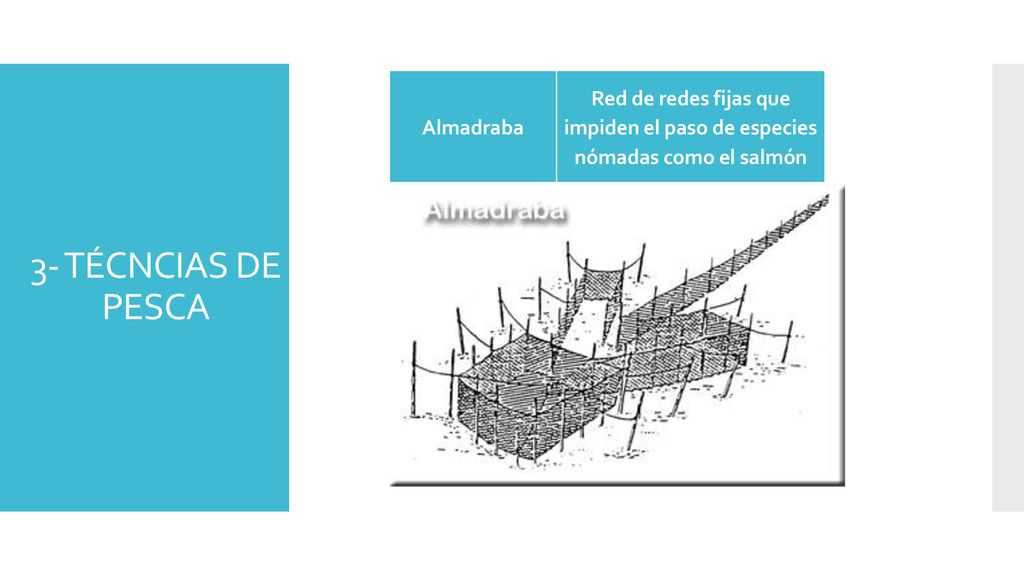 Almadraba Red de redes fijas que impiden el paso de especies nómadas como el salmón.
