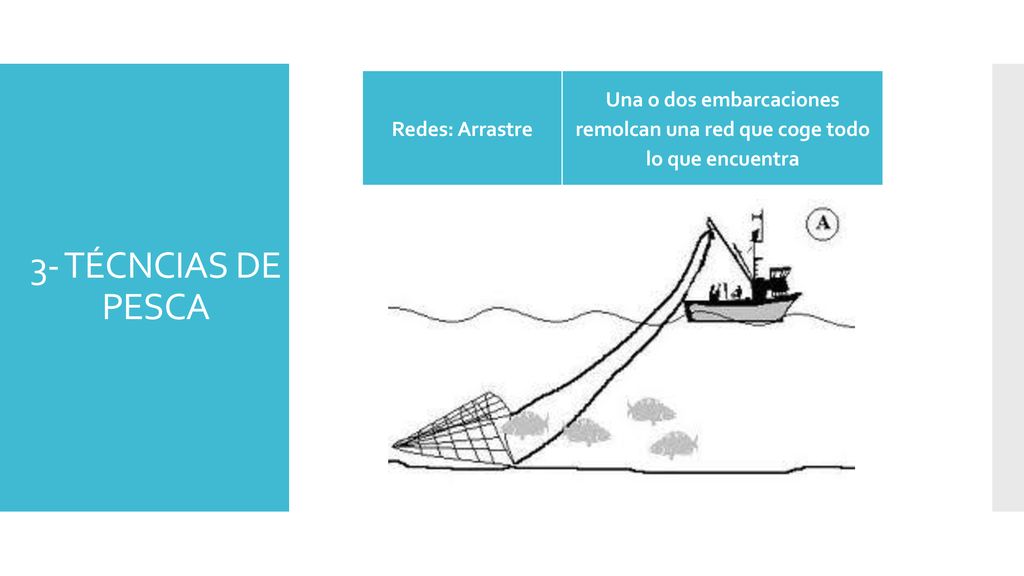 Redes: Arrastre Una o dos embarcaciones remolcan una red que coge todo lo que encuentra.