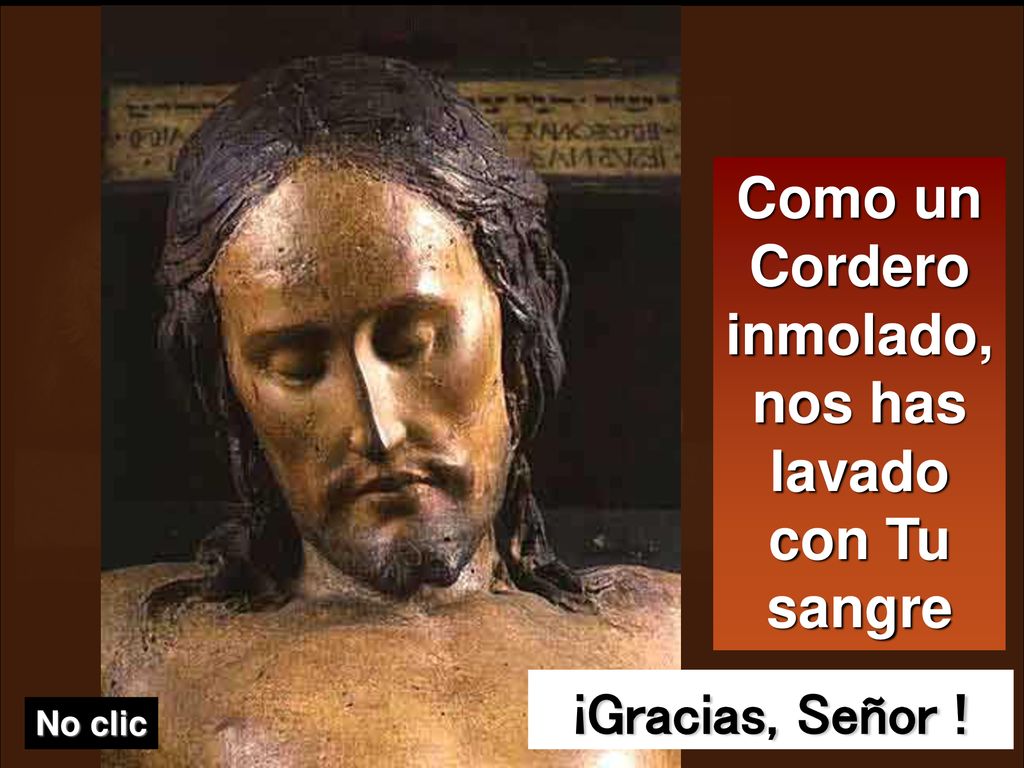Como un Cordero inmolado, nos has lavado con Tu sangre