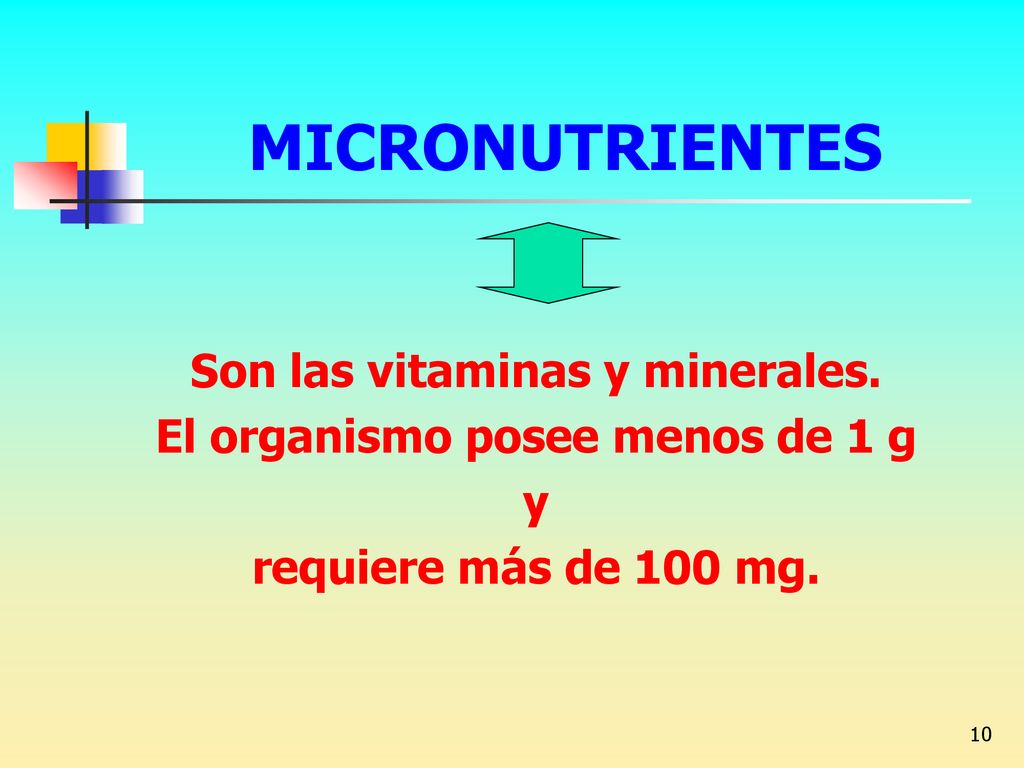 Son las vitaminas y minerales. El organismo posee menos de 1 g