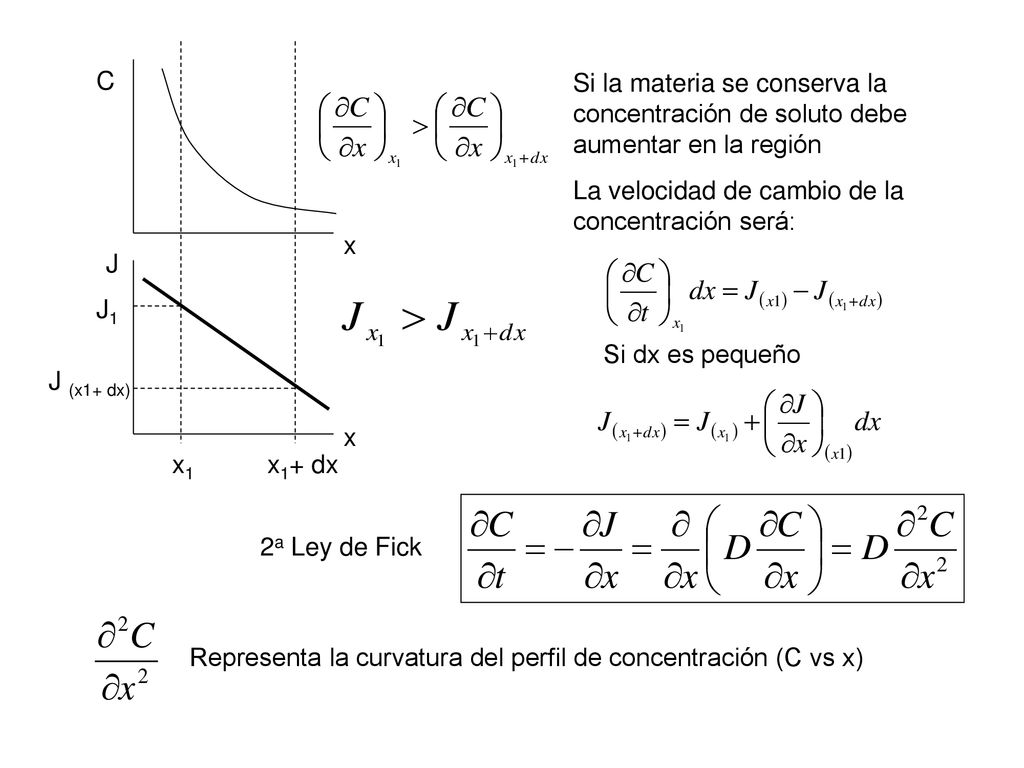 C J. x. x1. x1+ dx. J1. J (x1+ dx) Si la materia se conserva la concentración de soluto debe aumentar en la región.