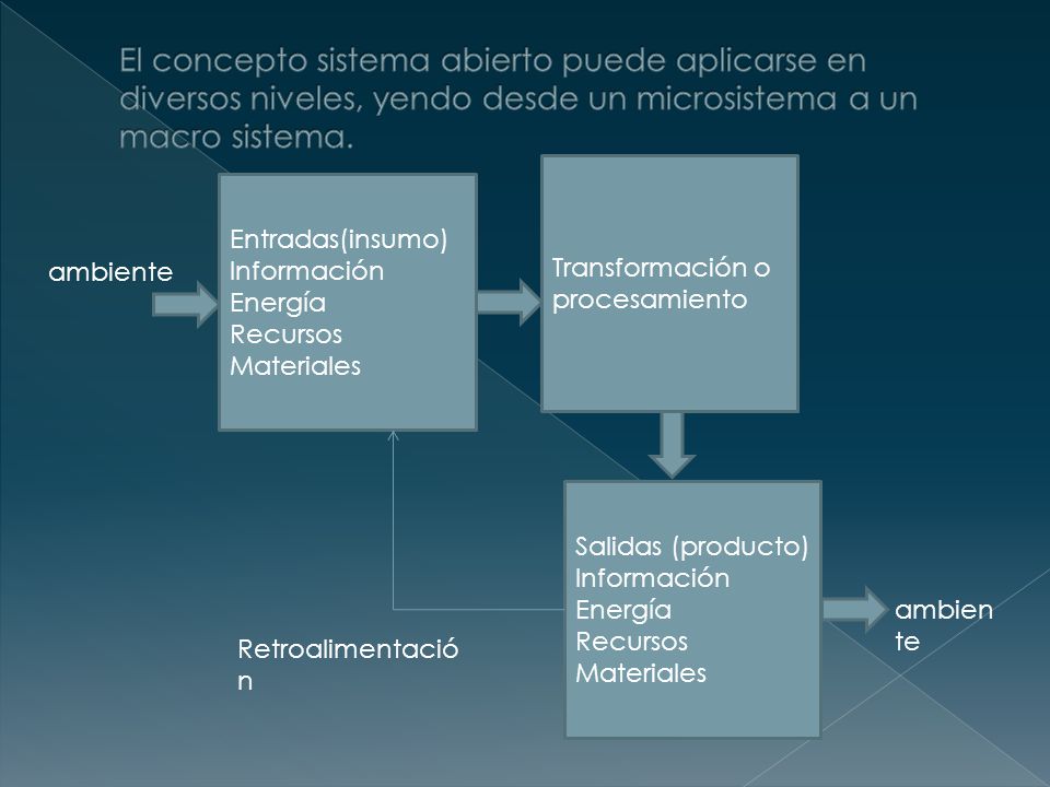 El concepto sistema abierto puede aplicarse en diversos niveles, yendo desde un microsistema a un macro sistema.