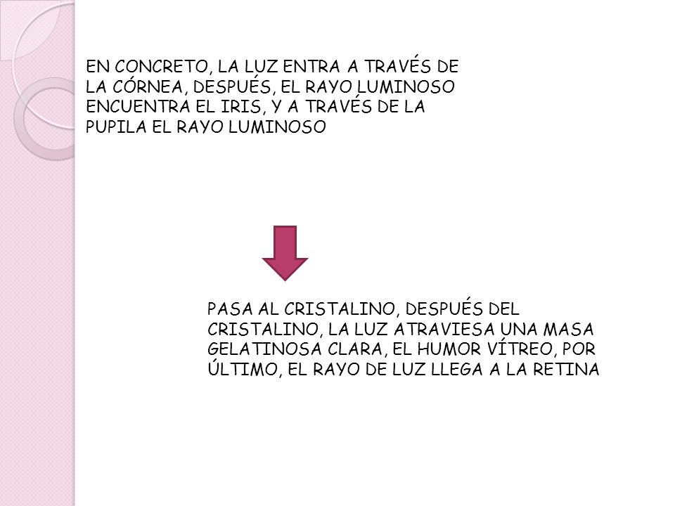 EN CONCRETO, LA LUZ ENTRA A TRAVÉS DE LA CÓRNEA, DESPUÉS, EL RAYO LUMINOSO ENCUENTRA EL IRIS, Y A TRAVÉS DE LA PUPILA EL RAYO LUMINOSO