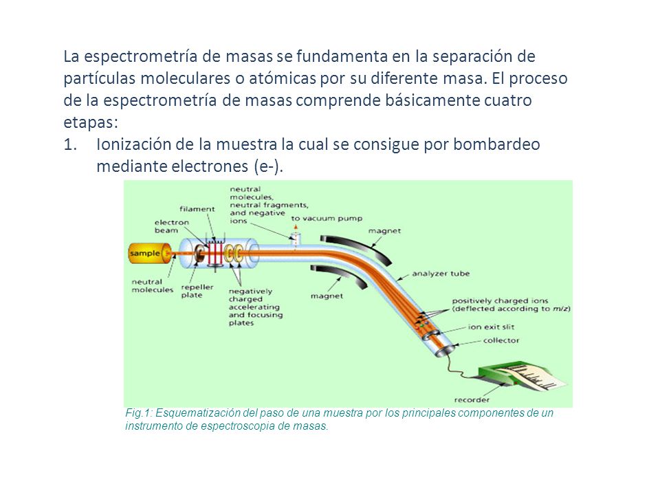 La espectrometría de masas se fundamenta en la separación de partículas moleculares o atómicas por su diferente masa. El proceso de la espectrometría de masas comprende básicamente cuatro etapas: