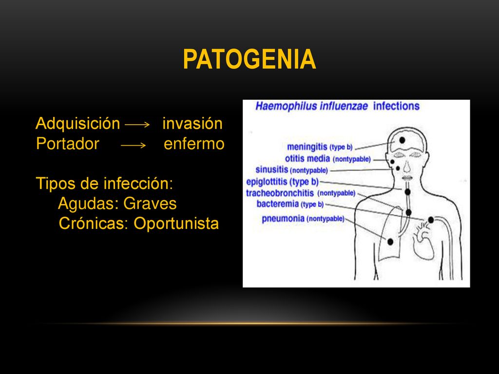 Patogenia Adquisición invasión Portador enfermo Tipos de infección: