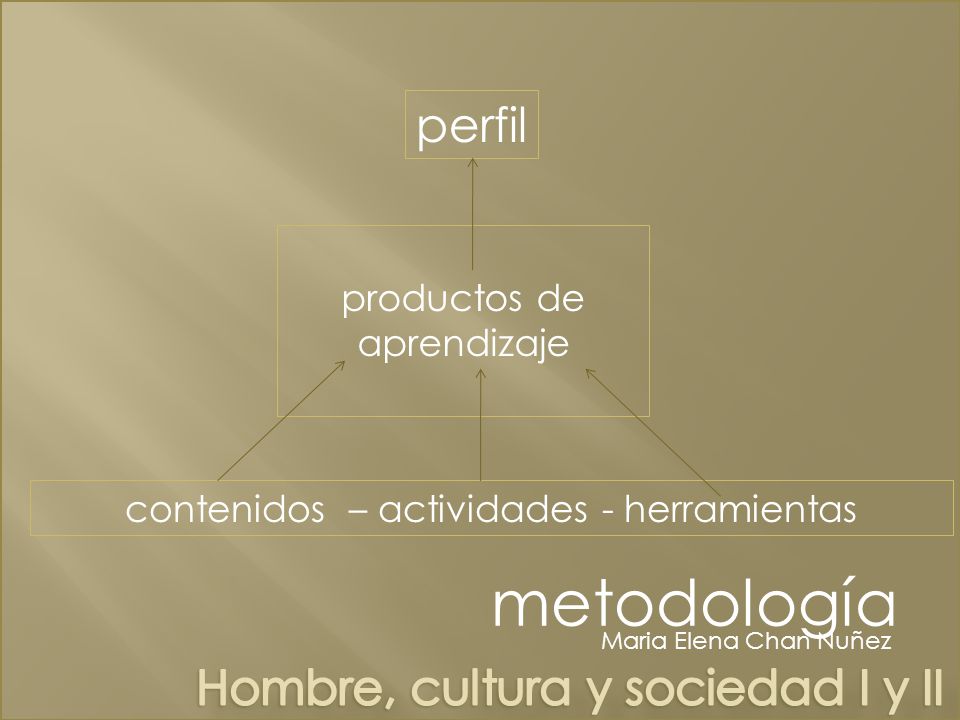metodología perfil Hombre, cultura y sociedad I y II