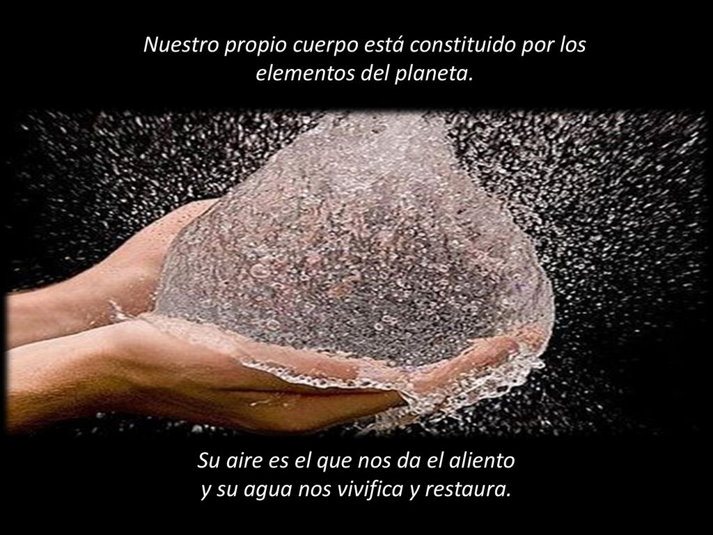 Nuestro propio cuerpo está constituido por los elementos del planeta.