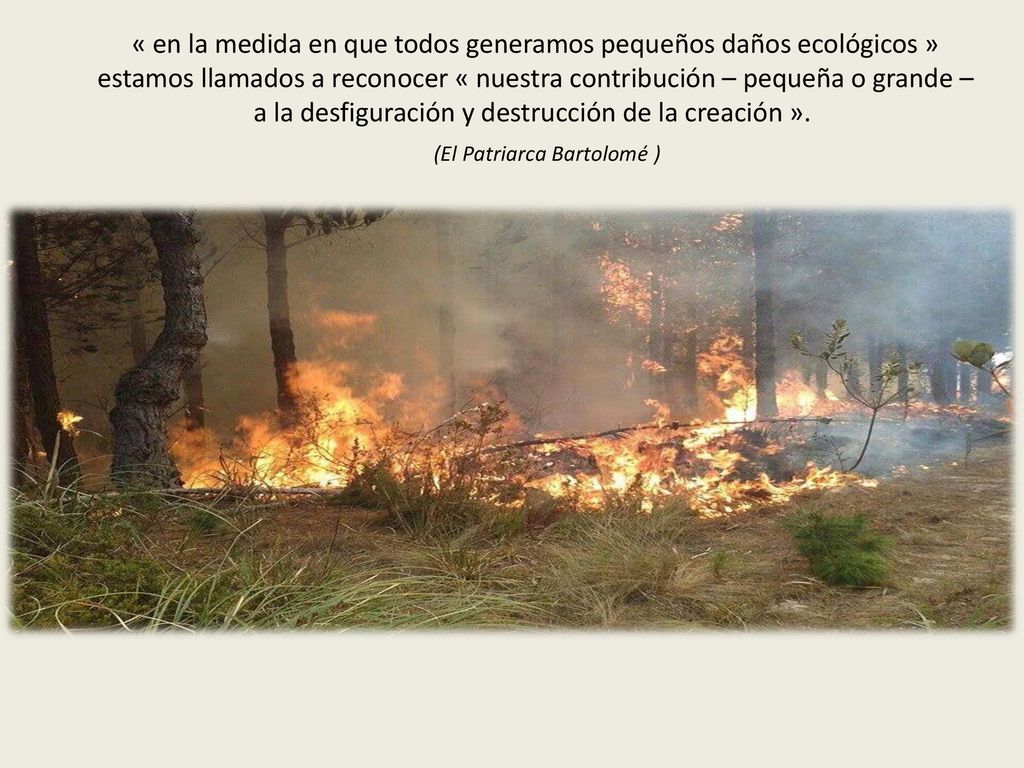 « en la medida en que todos generamos pequeños daños ecológicos »