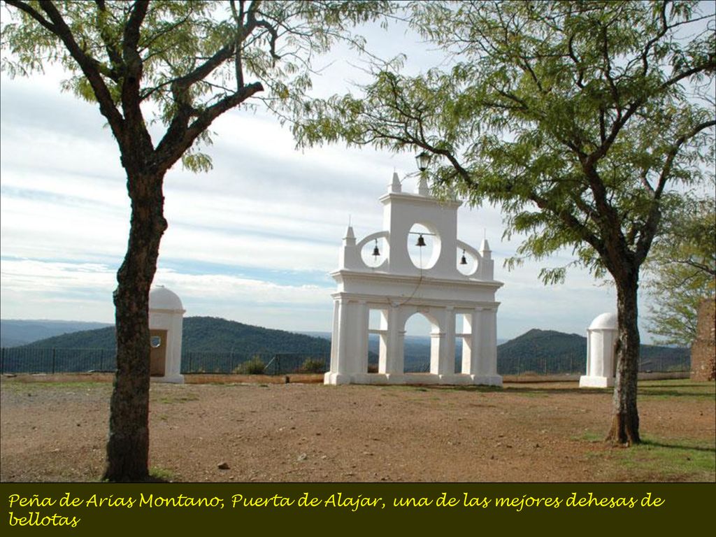 Peña de Arias Montano, Puerta de Alajar, una de las mejores dehesas de bellotas
