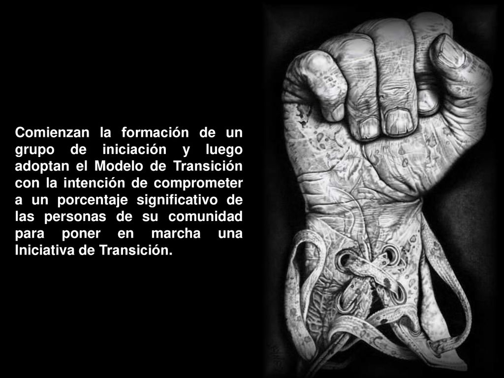 Comienzan la formación de un grupo de iniciación y luego adoptan el Modelo de Transición con la intención de comprometer a un porcentaje significativo de las personas de su comunidad para poner en marcha una Iniciativa de Transición.