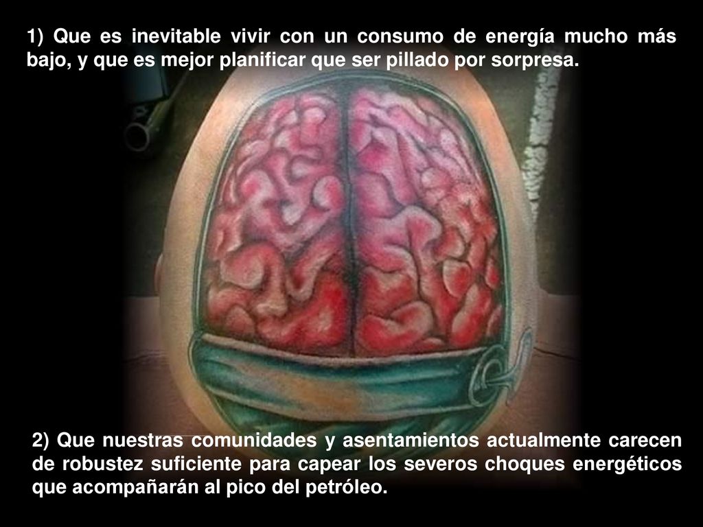 1) Que es inevitable vivir con un consumo de energía mucho más bajo, y que es mejor planificar que ser pillado por sorpresa.