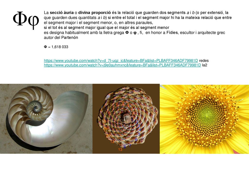 La secció àuria o divina proporció és la relació que guarden dos segments a i b (o per extensió, la que guarden dues quantitats a i b) si entre el total i el segment major hi ha la mateixa relació que entre el segment major i el segment menor, o, en altres paraules, si el tot és al segment major igual que el major és al segment menor es designa habitualment amb la lletra grega Φ o φ , fi, en honor a Fídies, escultor i arquitecte grec autor del Partenón Φ = 1, v=d_7I-uqz_ic&feature=BFa&list=PLBAFF346ADF79981D redes   v=j9e0auhmxnc&feature=BFa&list=PLBAFF346ADF79981D la2
