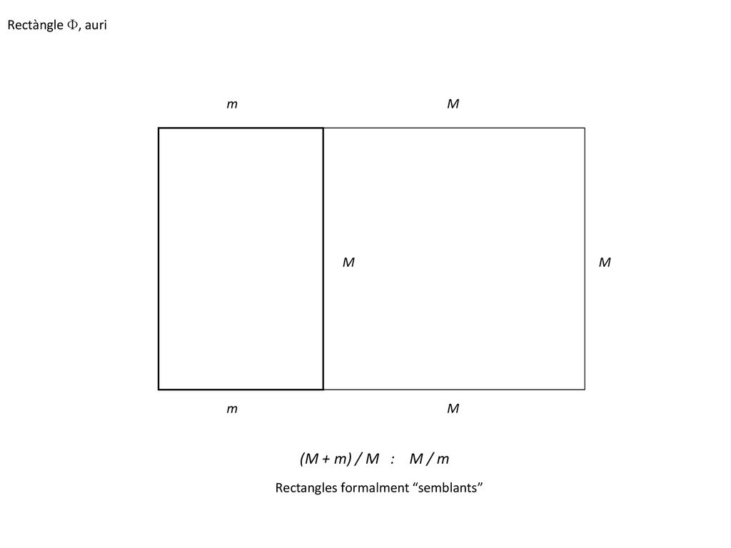 (M + m) / M : M / m Rectàngle F, auri m M M M m M