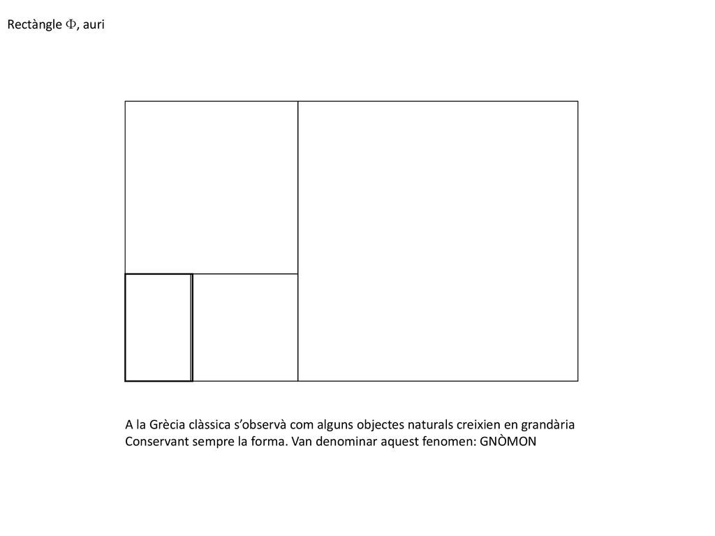 Rectàngle F, auri A la Grècia clàssica s’observà com alguns objectes naturals creixien en grandària.