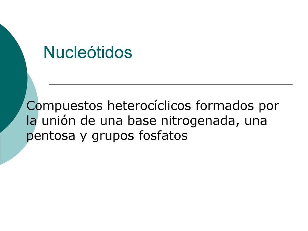 Nucleótidos Compuestos heterocíclicos formados por la unión de una base nitrogenada, una pentosa y grupos fosfatos.