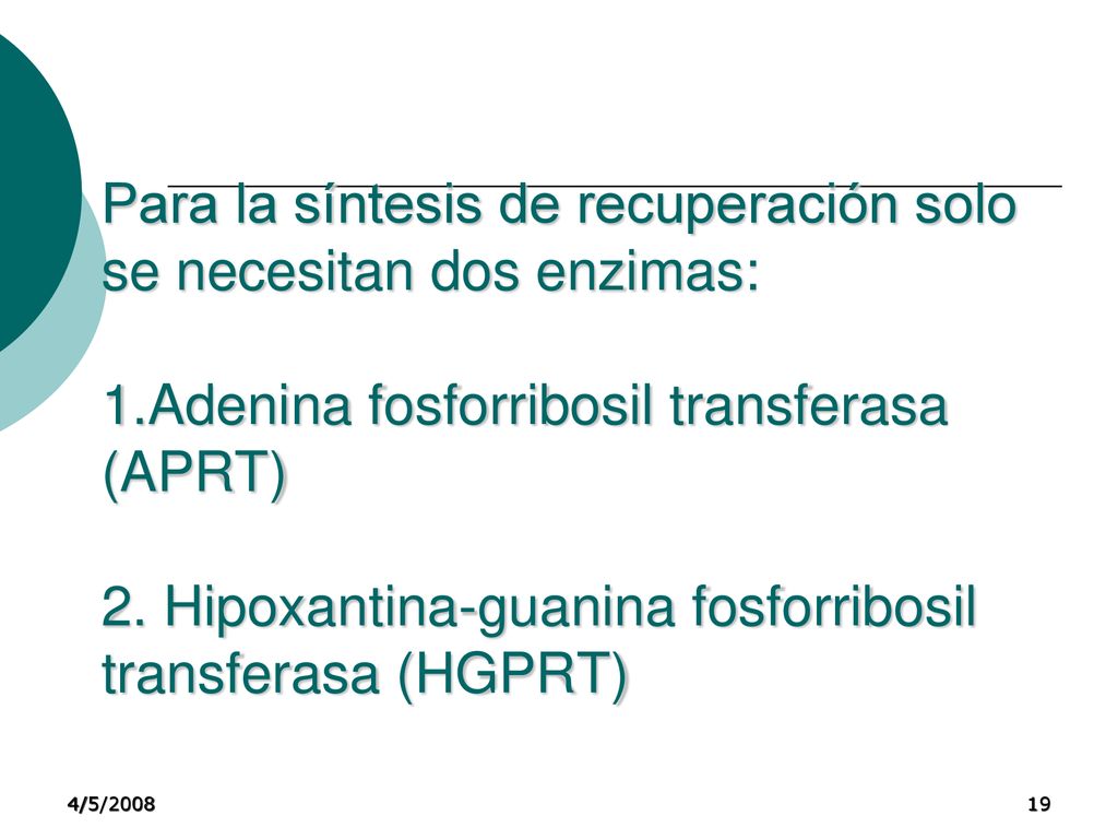 Para la síntesis de recuperación solo se necesitan dos enzimas: 1