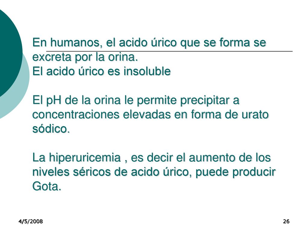 En humanos, el acido úrico que se forma se excreta por la orina