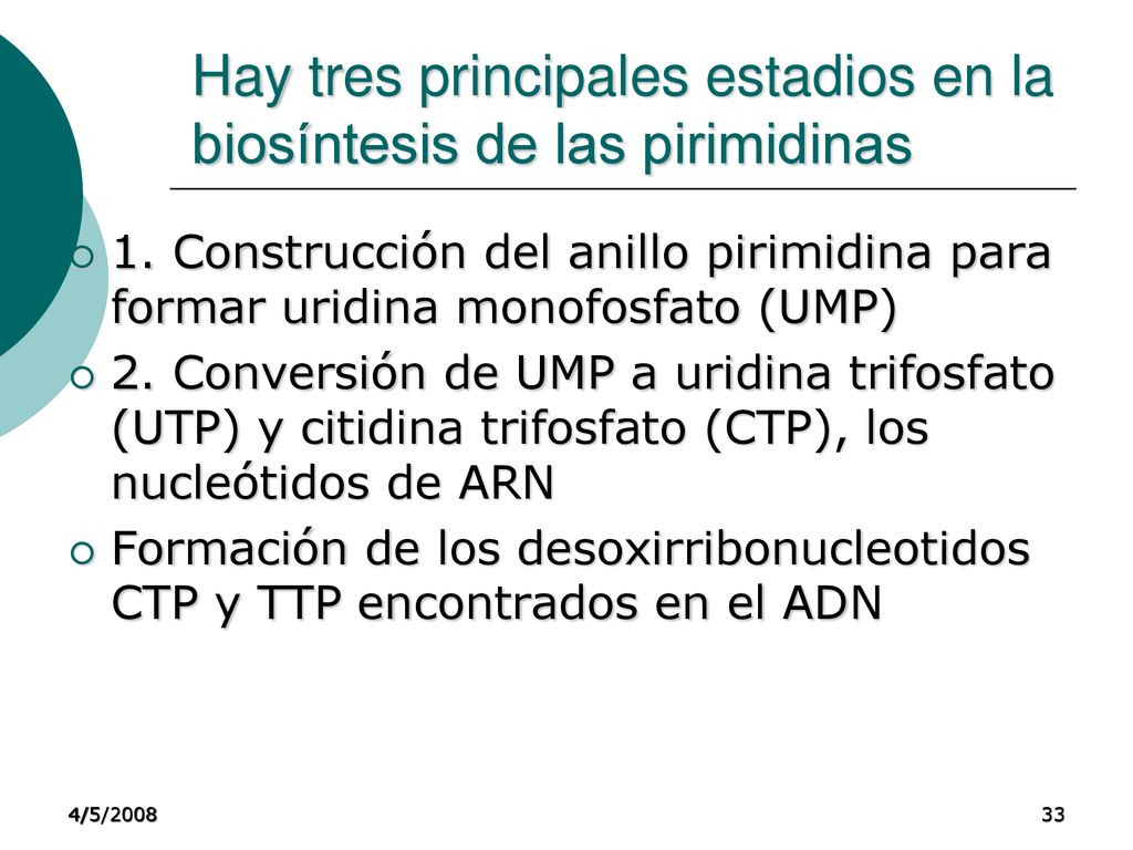 Hay tres principales estadios en la biosíntesis de las pirimidinas