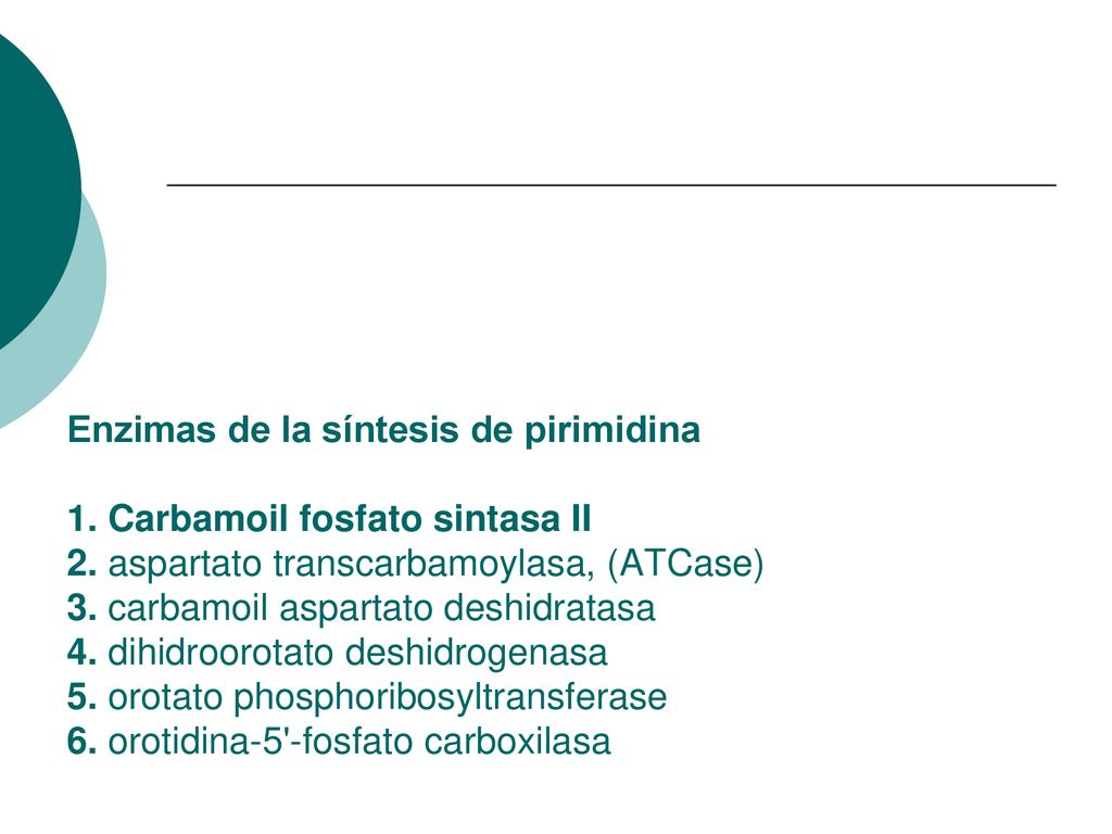 Enzimas de la síntesis de pirimidina 1. Carbamoil fosfato sintasa II 2