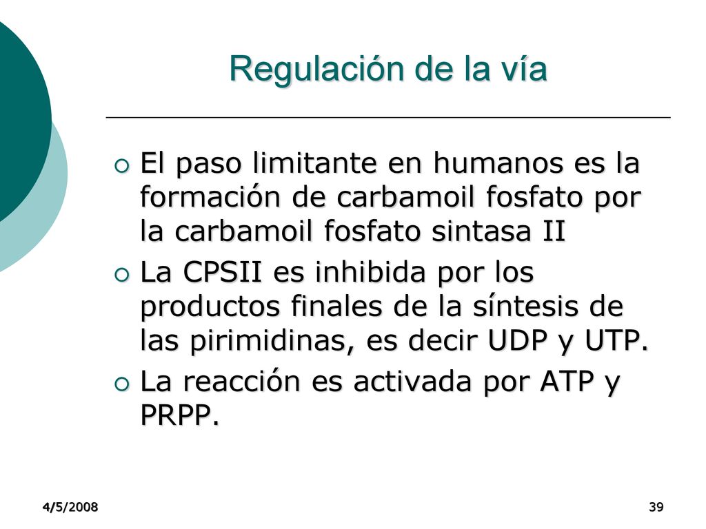 Regulación de la vía El paso limitante en humanos es la formación de carbamoil fosfato por la carbamoil fosfato sintasa II.