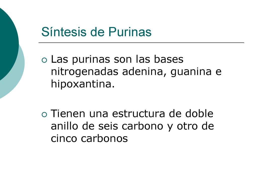 Síntesis de Purinas Las purinas son las bases nitrogenadas adenina, guanina e hipoxantina.