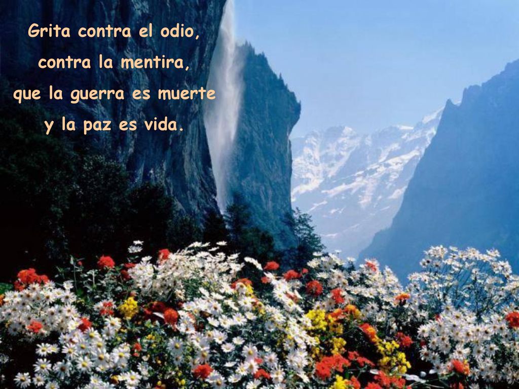 Grita contra el odio, contra la mentira, que la guerra es muerte y la paz es vida.