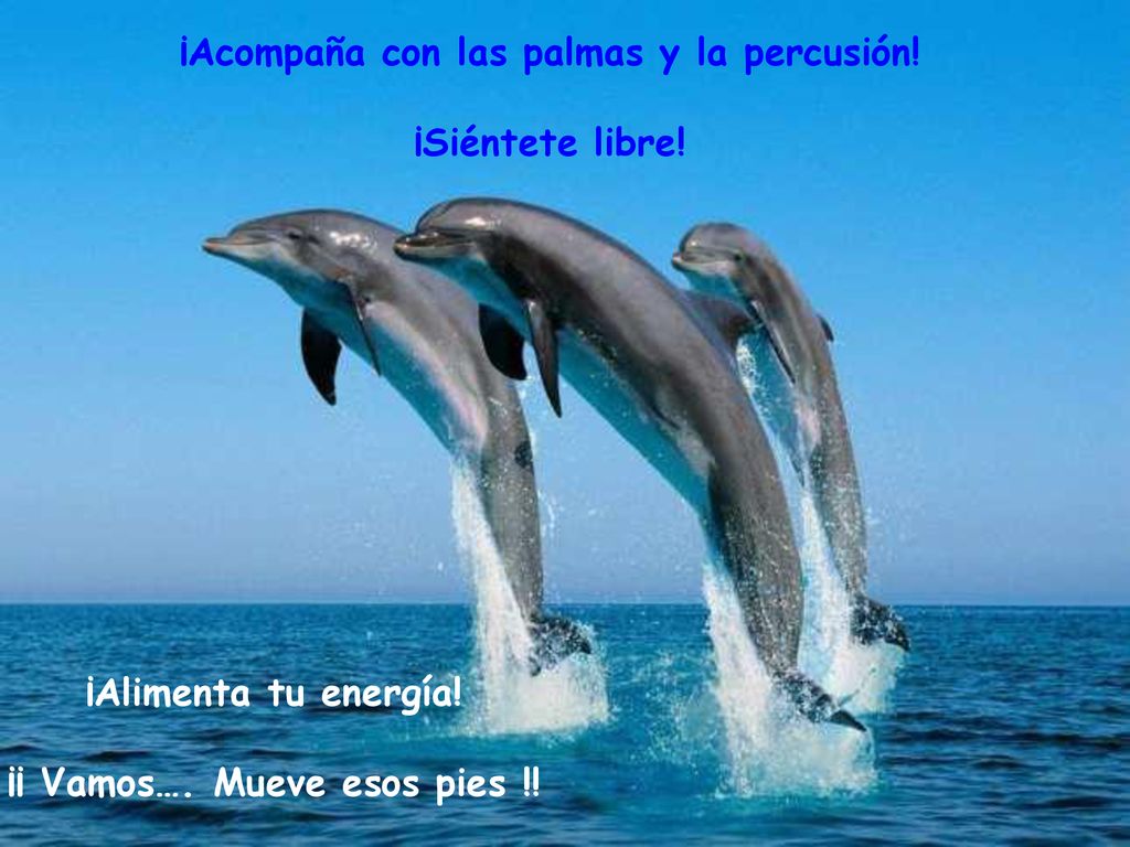 ¡Acompaña con las palmas y la percusión! ¡¡ Vamos…. Mueve esos pies !!