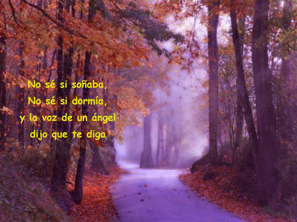No sé si soñaba, No sé si dormía, y la voz de un ángel dijo que te diga