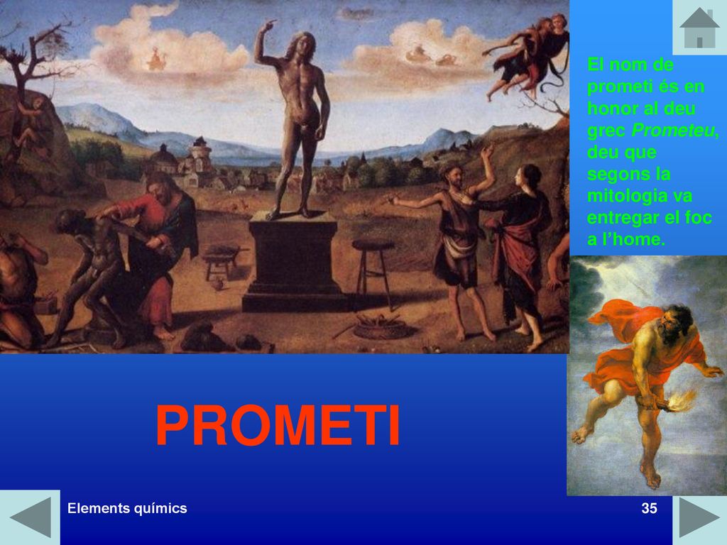 El nom de prometi és en honor al deu grec Prometeu, deu que segons la mitologia va entregar el foc a l’home.