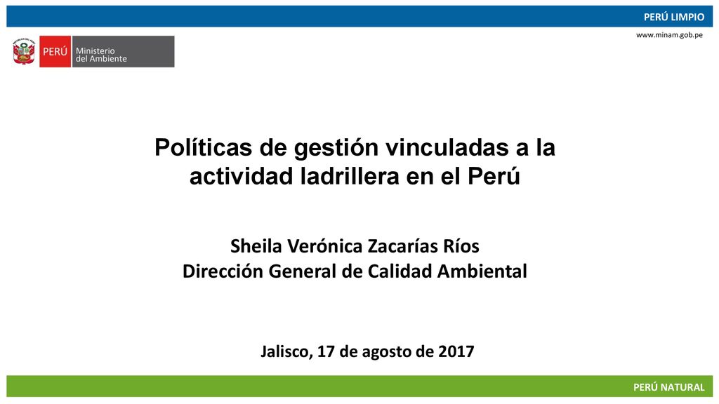 Políticas de gestión vinculadas a la actividad ladrillera en el Perú