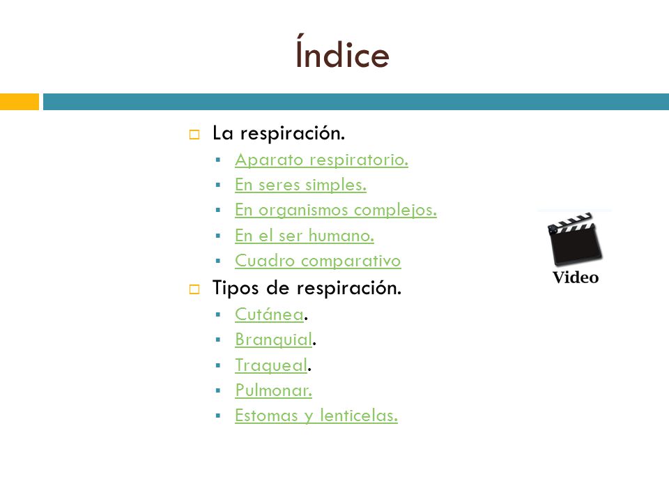Índice La respiración. Tipos de respiración. Aparato respiratorio.
