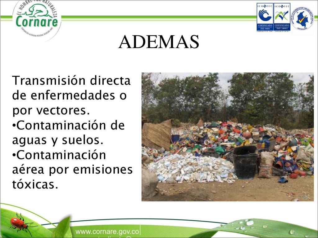 ADEMAS Transmisión directa de enfermedades o por vectores.
